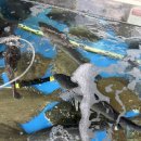 신장동로 140번길 | 하남 맛집 스타필드 근처 목포횟집 모임추천 한상차림