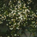 장산액자 이미지