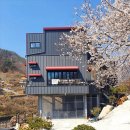 로시난테