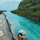 팀 크루즈 | 괌 돌핀크루즈 추천, 파란 돌핀크루즈 역대급 돌고래 떼 후기