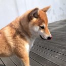 예지유치원 이미지