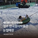 드림성인오락실 | 청주 한국잠사박물관 | 15개월 아기랑 신나는 눈썰매(눈오리)