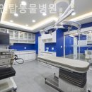 서울앤탑동물병원