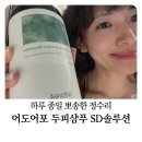 어도어 - 원주시 반곡초교로 20 | 오후만 되면 떡지는 머리? 어도어포 지성 샴푸로 해결한 찐 후기