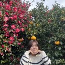 동백목장2 | 여행 1탄 : 고기국수, 협재, 흑돼지, 야크마을, 동백포레스트, 담소요, 성이시돌목장, 금오름, 짱구분식