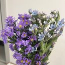 꽃님이 | [잘산템] 내돈내산 꽃 정기배송 &#34;꽃님이&#34; 솔직후기