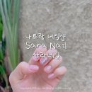 사라네일 | [나트랑 네일샵] 현지 시내 유지력 좋은 사라네일(sara nail) 가격 예약방법 내돈내산 후기