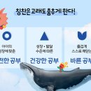 아소비광주신현점