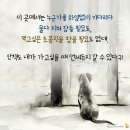 무지개광고 이미지
