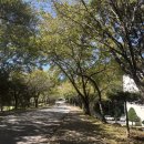 하늘을 향하여 | 머지않아 열매 맺는 가을을 향하여