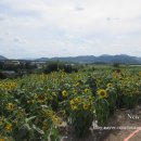 동머리농장 이미지