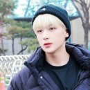니피 이미지