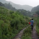 보리농장 이미지