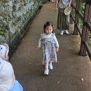 2026년 10월 2주 바깥으로 나가요2🐛🐜🍃🍁 이미지