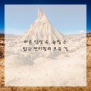 운동메이트 이미지