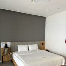 데이토나 | 포항 애견동반풀빌라 솔직후기 (데이토나풀빌라,오션뷰)