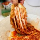 어머니김치 | 전라도 배추 김치 주문 추천 아르뫼김치 깐깐한 어머니도 사로잡은 포기 김치 후기