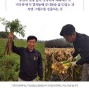 다인영농조합 이미지