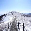 동사의 역동성과 종결어미의 변화 이미지