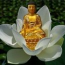 비우고 채우고 이미지