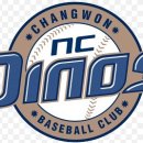 2014 KBO NC 다이노스 보호선수명단 10인 (수정) 이미지