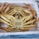 동해대게직판장 이미지