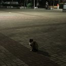 소소메이트