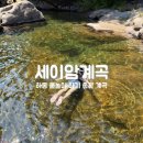 신흥쉼터 화장실 | [경남|하동] 경남 계곡 하동 세이암 계곡(+주차꿀팁, 수심, 치킨배달)