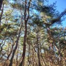 안상문 | 영화 <왕과 사는 남자> 보고 찾아간 그곳 경주 경덕왕릉 진짜 왕의 안식처는?