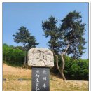 태웅장묘 네이버블로그
