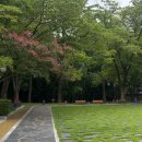 정자경로당 | 비오는 삼척 여행 1박2일|두레박고을, 정라진찹쌀떡, 죽서루, 삼척중앙시장, 임원항 회센터, 내평계곡...