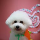 견사무소 호텔 유치원 이미지