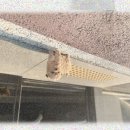 제천동물보호센터 이미지