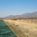 신장둔치 이미지