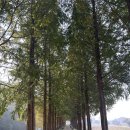 연문광장~박물관앞 | 공주 당일치기 여행 백제씽씽이타고 공산성에서 국립공주박물관까지