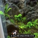 유어아일 네이버블로그