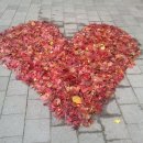 대구미래교육연구원 별관 이미지