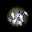 까치공업사 이미지