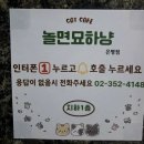 놀면묘하냥
