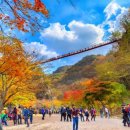 강천산군립공원 이미지