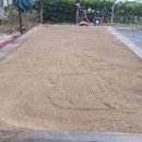 율원초교병설 이미지