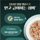주식 | 간식에서 주식으로, 기호성 좋은 쉬바 고양이 주식캔 후기