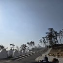 (주)대라반도체 | 포항/TITIF 카라반 - TITF 오션뷰 카라반 숙박 후기, 내돈내산