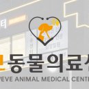 위브동물의료센터 네이버블로그