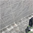 미룡주공2단지 | 춘천 퇴계주공 2단지 줄눈 시공 후기 빅라이언 선택 이유