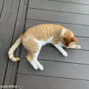 준 라이브 펜션 이미지