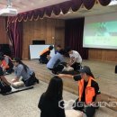 표교초교 이미지