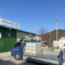 대오팜 네이버블로그