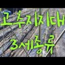 고추지지대 세우기 - 고추끈 , 지주대 만들기(도시농부 고추농사) 이미지