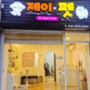 뚱이애견 | 제이펫 선운지구 애견 미용 말티푸 리얼후기 내돈내산